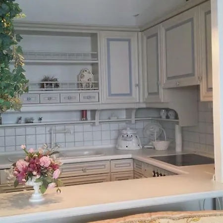 Panoramablick Ostseefjord Appartement Schleswig